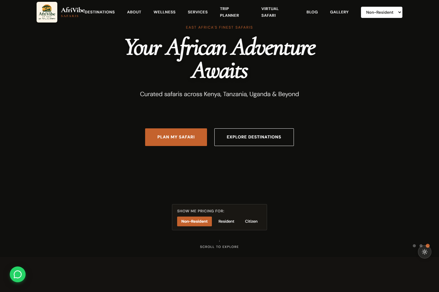 Afrivibe Safaris website